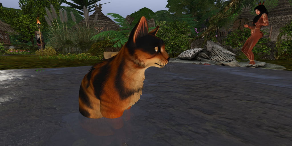 Cat sits in shallow water at the jungle camp as a painted native woman stands by the huts