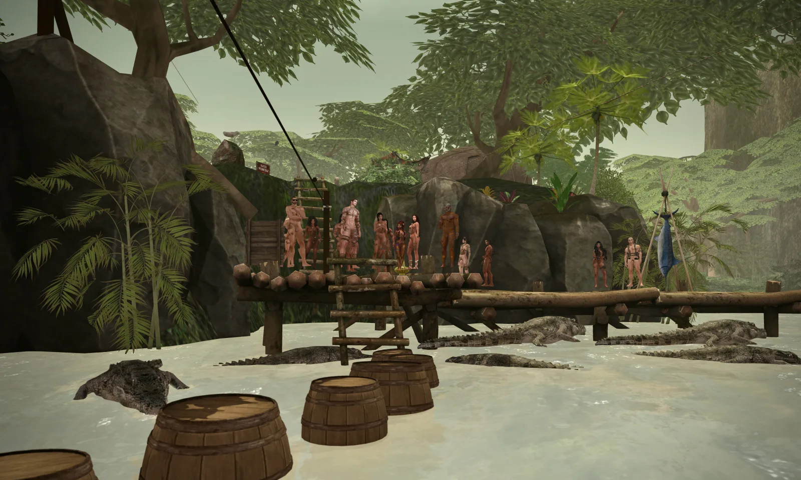 More crocodiles than ever